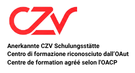 Logo: Chauffeuren Zulassungsverordnung